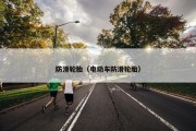防滑轮胎（电动车防滑轮胎）