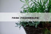 汽车系统（汽车系统故障怎么恢复）