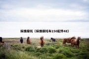 纵情摩托（纵情摩托车150配件4E）