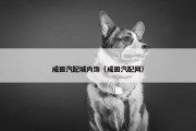 成田汽配城内饰（成田汽配网）