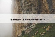巴博斯轮胎？ 巴博斯轮胎属于什么档次？