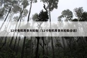 12寸电机用多大轮胎（12寸电机用多大轮胎合适）