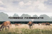 汽车顶棚被烟头烫（汽车顶棚被烟头烫个洞）