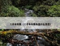 二手车年限（二手车年限车是什么意思）
