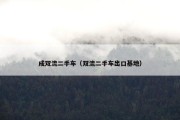 成双流二手车（双流二手车出口基地）