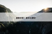欧款卡车？ 欧卡小货车？