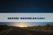 轮胎花纹类型（轮胎花纹类型,各有什么特点?）