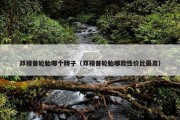 邓禄普轮胎哪个牌子（邓禄普轮胎哪款性价比最高）