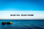 雪儿掉下卡车，雪儿掉下卡车视频