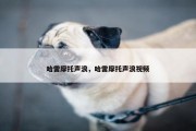 哈雷摩托声浪，哈雷摩托声浪视频