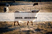 盛凯轮胎，盛凯轮胎价格表