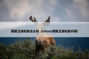 德国卫途轮胎怎么样（vitour德国卫途轮胎价格）