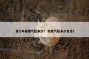 自行车轮胎气压多少？ 轮胎气压多少合适？