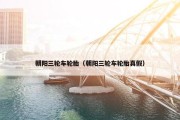 朝阳三轮车轮胎（朝阳三轮车轮胎真假）