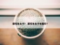 摩托车太子？ 摩托车太子车图片？
