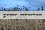 爱玛电动车轮胎型号？ 爱玛电动车轮胎型号与车型对照表？