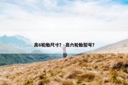 高6轮胎尺寸？ 高六轮胎型号？