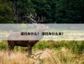摩托车什么？ 摩托车什么本？