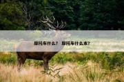 摩托车什么？ 摩托车什么本？