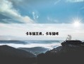 卡车猫王丢，卡车猫咪