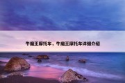 牛魔王摩托车，牛魔王摩托车详细介绍