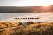 r4轮胎（R4轮胎适用什么车辆）