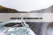 路顺重汽配件（重庆路顺科技有限公司）