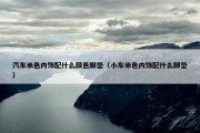 汽车米色内饰配什么颜色脚垫（小车米色内饰配什么脚垫）