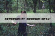 沈阳市哪里有卖皮卡车？ 沈阳哪里有卖皮卡的专卖店？