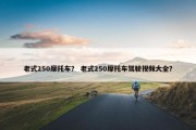 老式250摩托车？ 老式250摩托车驾驶视频大全？