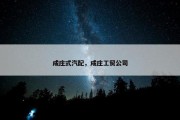 成庄式汽配，成庄工贸公司