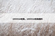 1955516轮胎，1955516轮胎图片