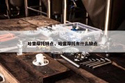 哈雷摩托特点，哈雷摩托有什么缺点