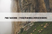 汽配门店买保险（汽车配件是保险公司购买发货的吗）