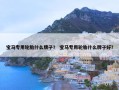 宝马专用轮胎什么牌子？ 宝马专用轮胎什么牌子好？