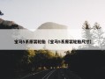 宝马5系原装轮胎（宝马5系原装轮胎尺寸）