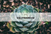 卡车小柠檬的简单介绍