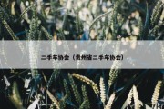二手车协会（贵州省二手车协会）