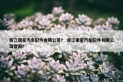 浙江银星汽车配件有限公司？ 浙江银星汽车配件有限公司官网？