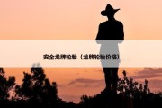 安全龙牌轮胎（龙牌轮胎价格）