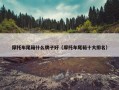摩托车尾箱什么牌子好（摩托车尾箱十大排名）