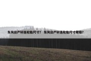 东风日产轩逸轮胎尺寸？ 东风日产轩逸轮胎尺寸规格？