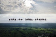 怎样挑选二手车？ 怎样挑选二手车视频教程？
