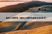 重庆125摩托车（重庆125摩托车是多少马力车子）