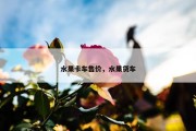 水果卡车售价，水果货车