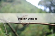 萨博卡车？ 萨博重卡？
