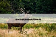 普利司通轮胎特点的简单介绍