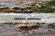 韩泰静音轮胎，韩泰有静音胎吗