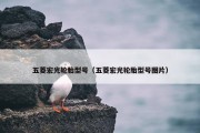 五菱宏光轮胎型号（五菱宏光轮胎型号图片）