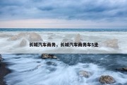 长城汽车商务，长城汽车商务车5坐